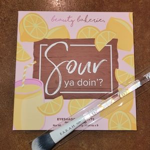 Sour eyeshadow pallet & brush